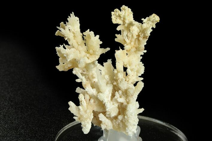 Intricate, Fluorescent Aragonite Formation - Nevada #284869